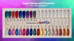 Angel Hologram & Platinum Full Set ( 27 colors ) Online now