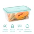 Bentgo Prep 8-Cup Deep-Dish Container (20-Piece Set) - Aqua Splash For Discount