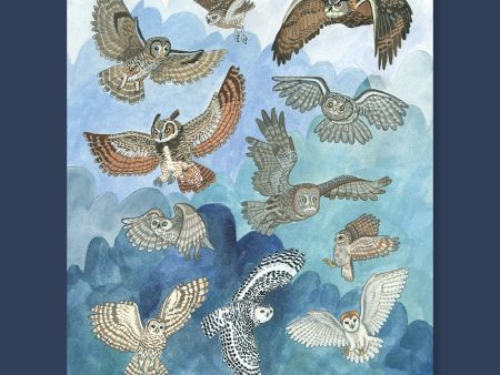 Owl Hootenanny Print (8x10) Sale