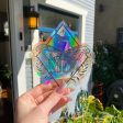 Moth Suncatcher Window Decal Online now