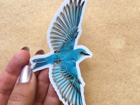 Bluebird Vinyl Sticker Online Hot Sale