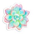 Pastel Succulent Vinyl Sticker Online