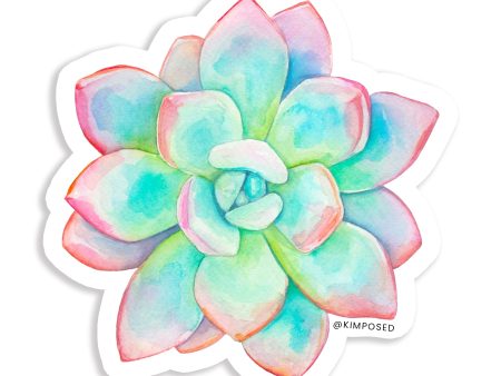 Pastel Succulent Vinyl Sticker Online