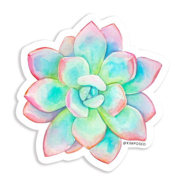 Pastel Succulent Vinyl Sticker Online