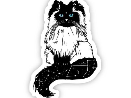 White Cat with Blue Eyes Sticker Vinyl Sticker Sale