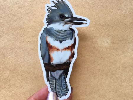 Belted Kingfisher Vinyl Sticker For Discount