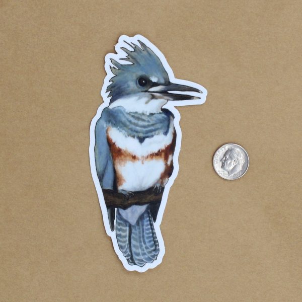 Belted Kingfisher Vinyl Sticker For Discount