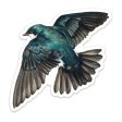 Tree Swallow Vinyl Sticker Online Hot Sale