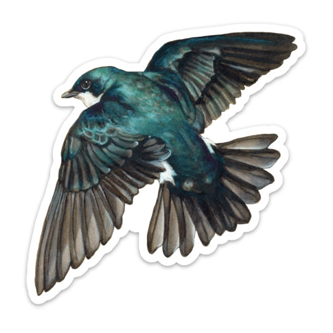 Tree Swallow Vinyl Sticker Online Hot Sale